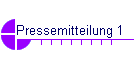 Pressemitteilung 1